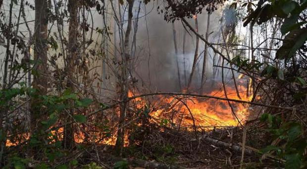 Kebakaran Lahan di Jalan Manunggal Hampir Meluas ke Permukiman Warga Perbatasan Kampar-Pekanbaru