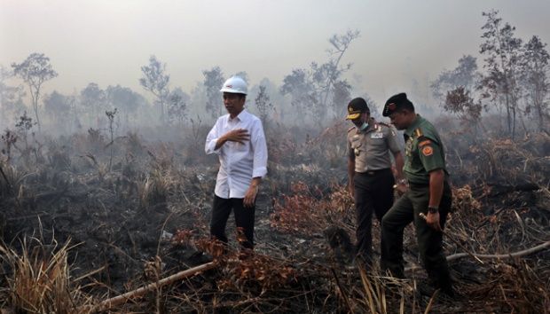 10 Perusahaan, 5 di Antaranya di Riau Diduga Jadi Dalang Pembakaran Hutan