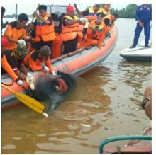satu-korban-tabrakan-speedboat-dan-kapal-di-perairan-sungai-beting-inhil-ditemukan-tewas