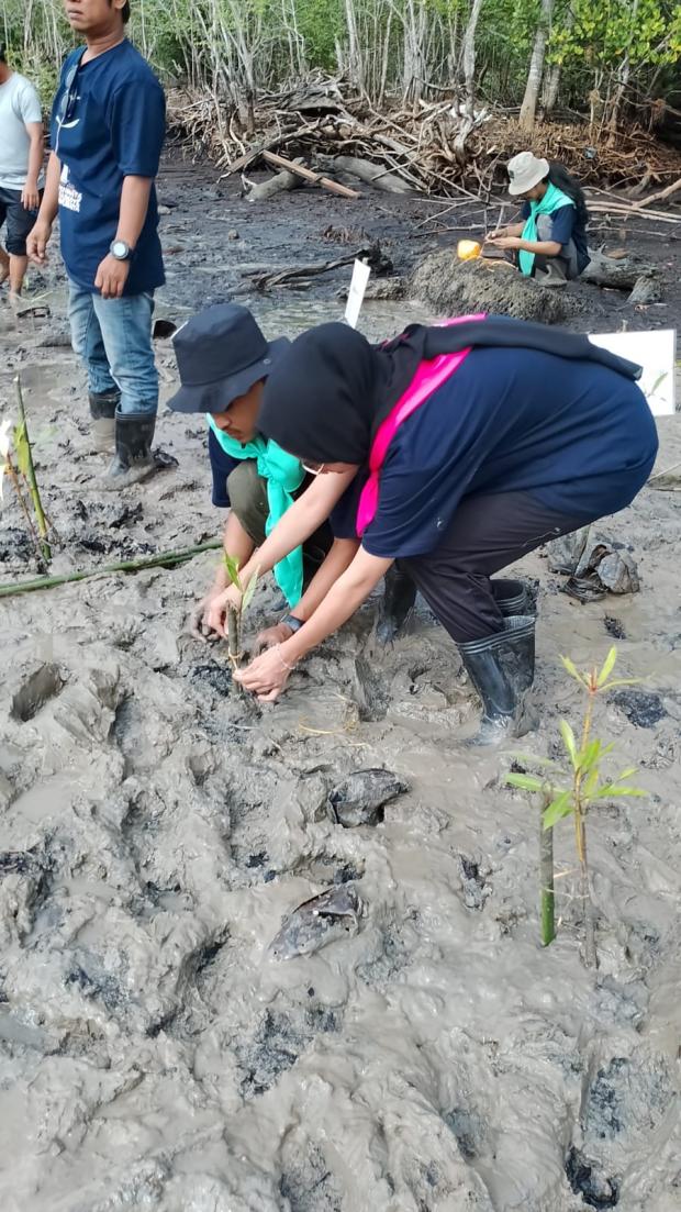 Mafakumpala UIR Lakukan Penyuluhan dan Tanam 500 Mangrove di Pesisir Desa Tanjungpisang Kepulauan Meranti