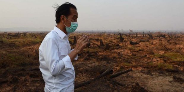 Agenda Jokowi ke Riau, Mengecek Kantong-kantong Penampungan Air