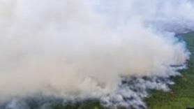 bhasil-periode-20142026-riau-peroleh-dana-pengembangan-lingkungan-hidup-sebesar-rp-328-miliarb