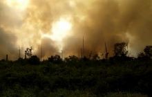 hutan-pulau-rupat-terbakar-bpbd-riau-belum-dapat-info