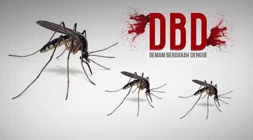 Ya Ampuun, Selama Januari 2017 Sudah 166 Orang di Riau Terserang Demam Berdarah, 3 Meninggal
