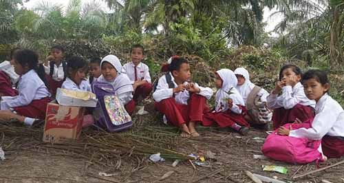 Ironi Sekolah Satu Atap di Desa Maredan Kabupaten Siak yang Tak Punya Air