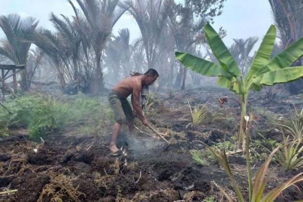 Andik Baso Terpaksa Tidur di Kolong Rumahnya yang Dikepung Api Karhutla di Kepulauan Meranti untuk Berjaga-jaga agar Tempat Tinggalnya Tak Terbakar