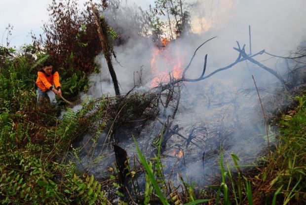 Titik Panas Tanda-tanda Kebakaran Hutan di Riau Terus Bermunculan