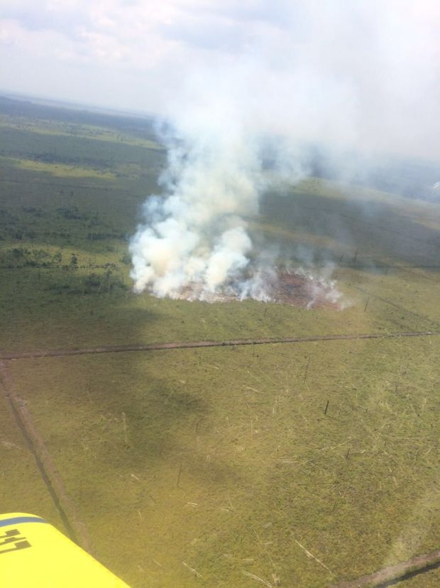 Per 6 Agustus, Sudah 1.555 Hektar Hutan dan Lahan Riau Terbakar