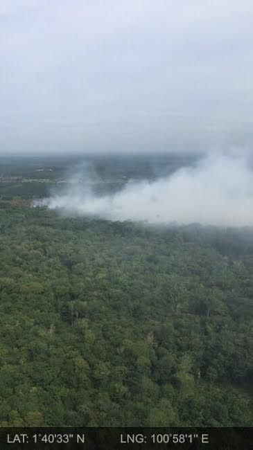 Begini Penampakan Lahan yang Terbakar di Riau yang Tengah Dipadamkan Satgas Udara