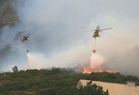 Hutan Riau Masih Membara, 2 Helikopter Bom Air Dikirim
