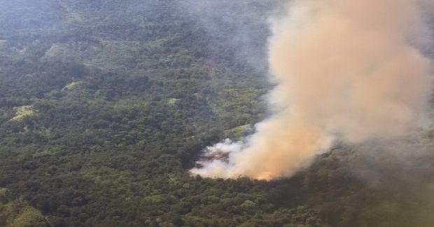 Kebakaran Hutan Juga Terpantau di Kampar dan Rohil