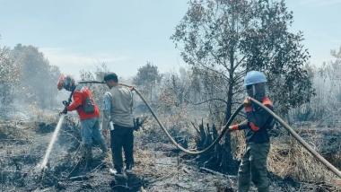 34-pembakar-lahan-ditangkap-polisi-di-riau