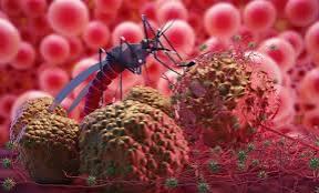 bjumlah-temuan-kasus-malaria-di-kateman-kabupaten-inhil-meningkat-tiga-kali-lipatb