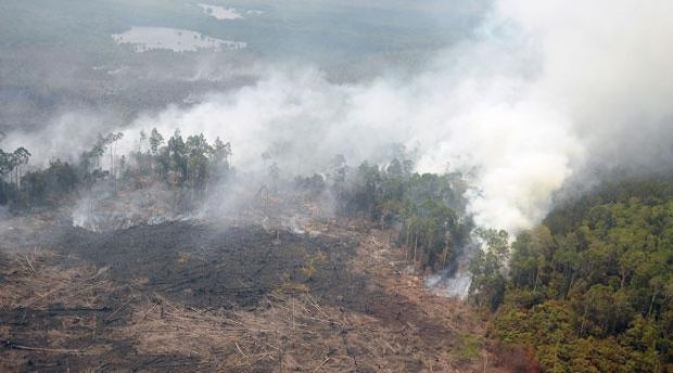 Pagi Tadi, 4 Titik Api Terpantau di Kabupaten Pelalawan