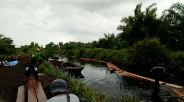 Akhir Petualangan Perambah Cagar Biosfer Giam Siakkecil dan Bukitbatu di Riau