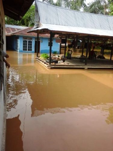 Banjir Kian Meluas, Ribuan Rumah Terendam dan Seluruh Desa Sekitar Sungai Kuansing Terisolir