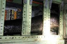 ngeri-ular-besar-sepanjang-4-meter-masuk-ke-dalam-panel-listrik-pln-di-selatpanjang
