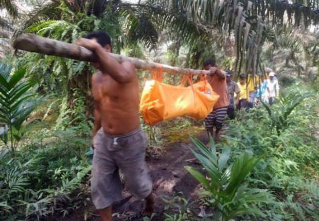 Seorang Nelayan Ditemukan Tewas Tergeletak di Kebun Sawit di Pelalawan