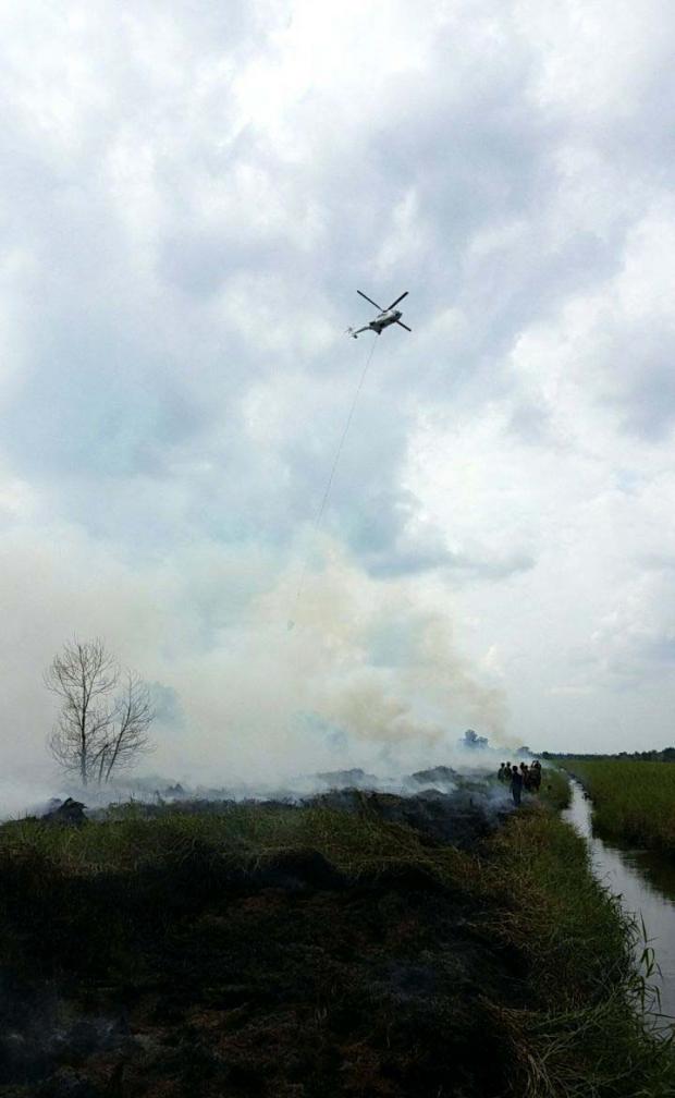 Satgas Karhutla Riau Berjibaku Padamkan Api di Lahan Gambut 4 Hektar Kawasan Pulaumuda Pelalawan