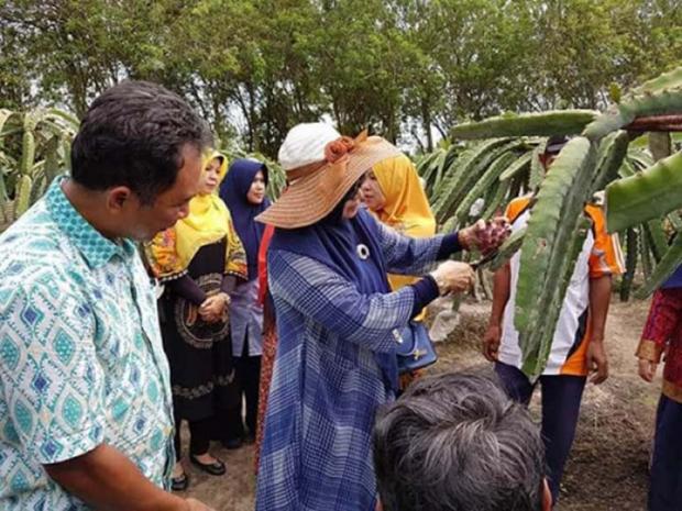 UIR dan Dharma Wanita Terinspirasi Bangun Agrowisata Saat Kunjungi BPPM AA