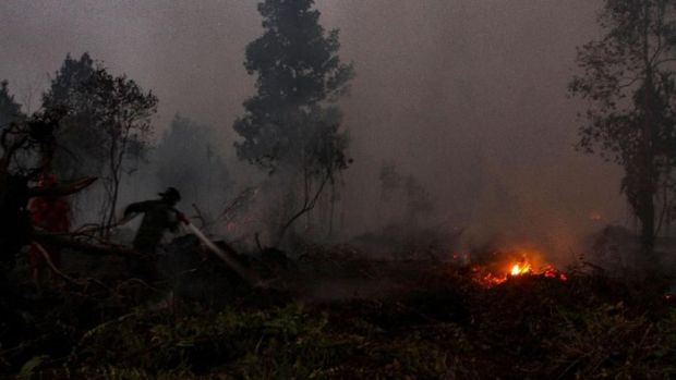 Anaknya Meninggal karena ISPA dan Tanaman yang Mau Panen Hangus Terbakar, Pejuang Lingkungan dari Bengkalis Diundang ke Lombok Berbagi Kiat Bangkit dari Duka