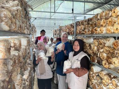 bspora-kemandirian-di-tapung-hulu-ibuibu-seroja-rintis-sentra-jamur-tiramb