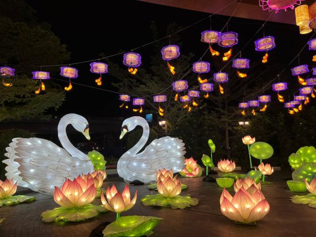 Hai Warga Pekanbaru, Ada Festival Lampion Terbesar Nih di Living World Mulai Juni hingga Juli 2023
