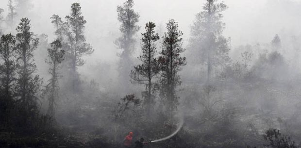 Menteri LHK Keluarkan Peringatan: Bersiaplah Hadapi Ancaman Kebakaran Hutan Besar!