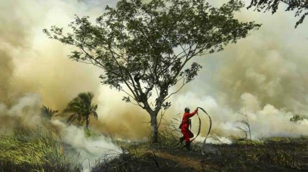 Karhutla Riau Terus Meluas, Total Lahan Terbakar Mencapai 4.740 Hektar