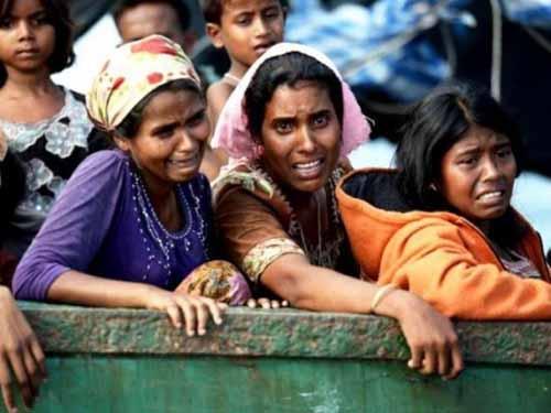Seperti Pemprov Lain, Lukman Edy Sarankan Pemerintah Riau Tampung Pengungsi Rohingya