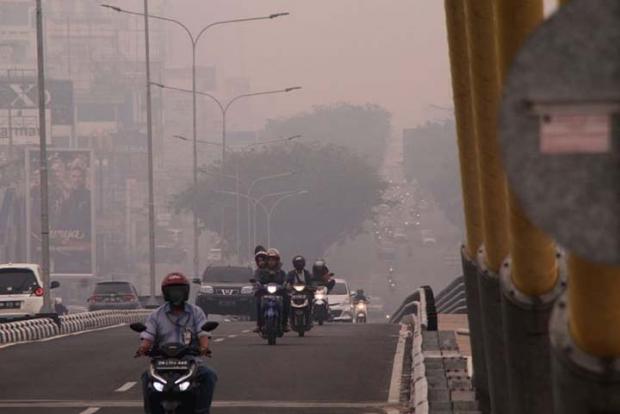 Kabut Asap Kebakaran Hutan dan Lahan di Riau Makin Parah, BMKG Catat 289 Titik Panas