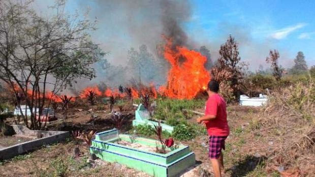 Rimbopanjang Masih Membara, 4 Titik Api Kebakaran Hutan dan Lahan Ditemukan di Kampar