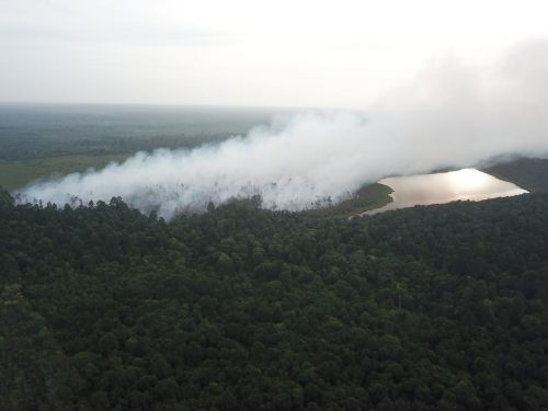 Api Karhutla di Desa Gemalasari Kepulauan Meranti Mulai Dekati Hutan Lindung Tasik Penyagun