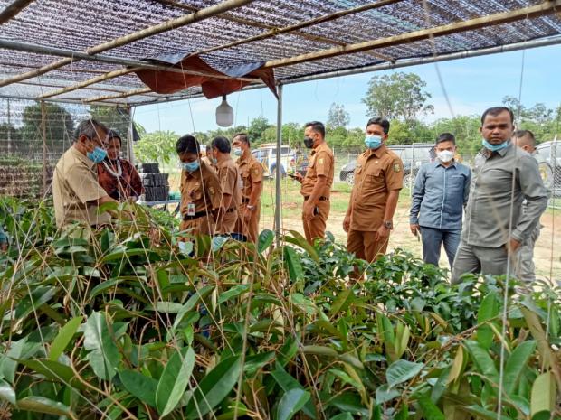 Usai Buka Musrenbang Pucukrantau Kuansing, Bupati Mursini Ajak Jajarannya Pelajari Prospek Perkebunan Buah di NR Farm