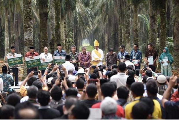 KUD Binaan Asian Agri Terima Bantuan Paket PSR dari Presiden Jokowi