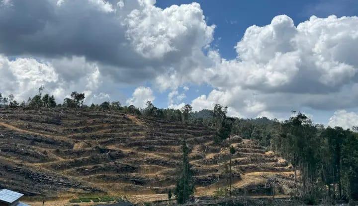 <b>Surat Hibah dan Kuitansi Jadi Legitinasi Empat Warga Garap Hutan Lindung Siabu Kampar</b>