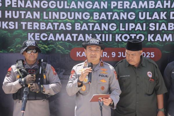 <b>Puluhan Hektare Hutan Lindung di Kampar Digunduli demi Dijadikan Kebun Sawit</b>