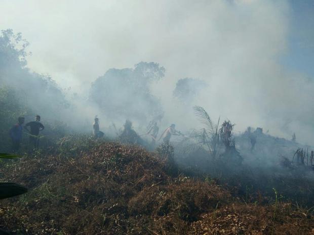 Kebakaran Lahan Terjadi di Kampung Dayun Siak