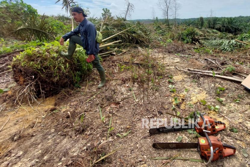 <b>Satgas PKH Ambil Alih 81 Ribu Hektare Lahan Tesso Nilo</b>