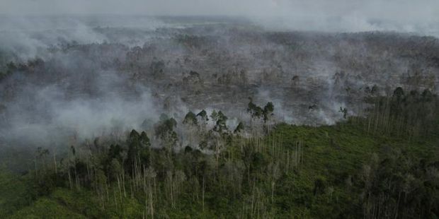 Satelit Pantau 54 Titik Panas di Sumatera, 29 di Antaranya Berada di Riau