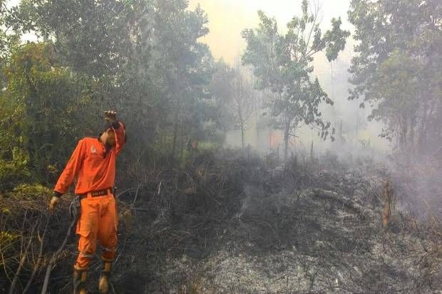 Waduh! Kebakaran Lahan Mulai Masuk Kota Pekanbaru