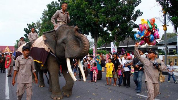 Empat Ekor Gajah Ikut Ambil Bagian dalam Pawai HUT ke-59 Provinsi Riau
