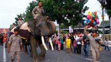 empat-ekor-gajah-ikut-ambil-bagian-dalam-pawai-hut-ke59-provinsi-riau