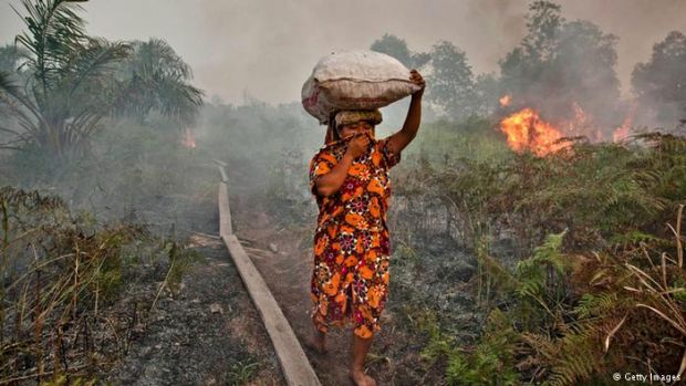 Politisi Riau Ini Ingin Pembakar Lahan Diperlakukan Layaknya Teroris