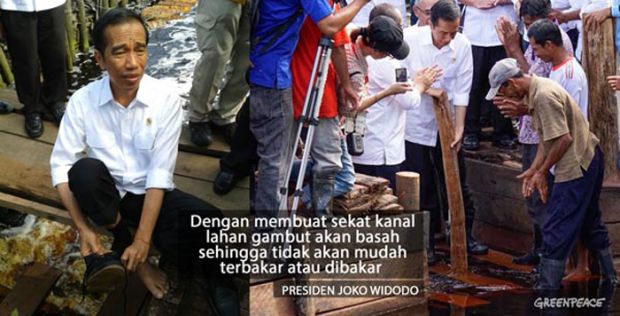 Greenpeace Tagih Janji Jokowi Sekat Seribu Kanal Lahan Gambut di Riau