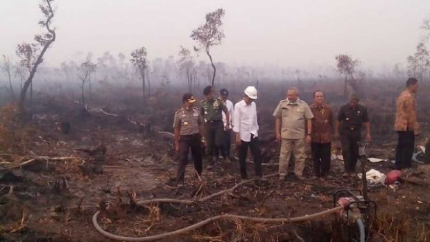 Sudah Tiga Kali Jokowi ke Lokasi Kebakaran, Tetap Tak Ada Efeknya, karena yang Diperlukan Eksekusi Bukan Peninjauan