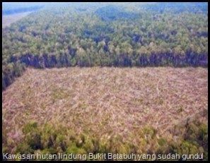 Hutan Riau Porak-poranda, Yayasan Riau Madani Gugat Dirjen Gakkum KLHK dan Apin Merauke ke PN Rengat