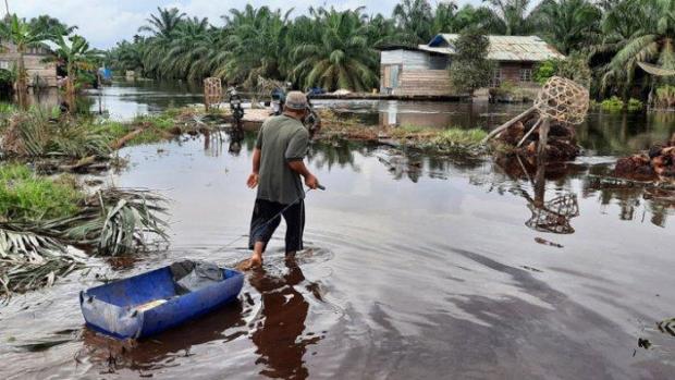 Buaya Sering Nongol di Air Banjir, Anak-Anak di Basilambaru Dumai Ketakutan