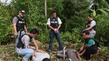 polisi-tangkap-terduga-pembunuh-istri-bos-toko-keramik-tuahkarya-pekanbaru-di-hutan-sumatera-barat