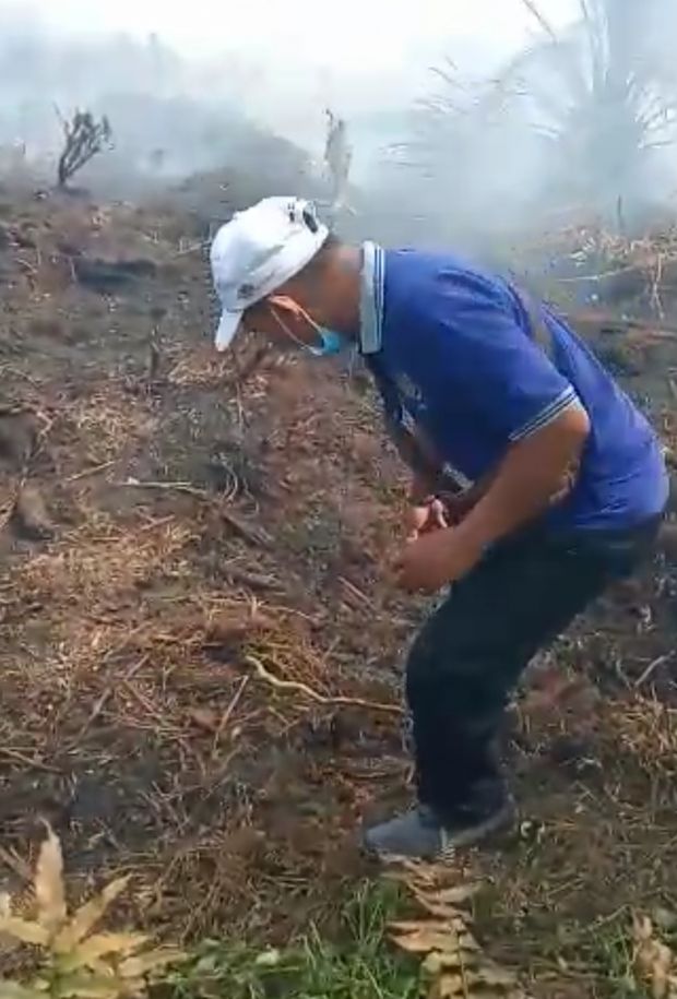Lahan Dekat Konsesi PT TKWL di Siak Terbakar, 8 Hektar Ludes